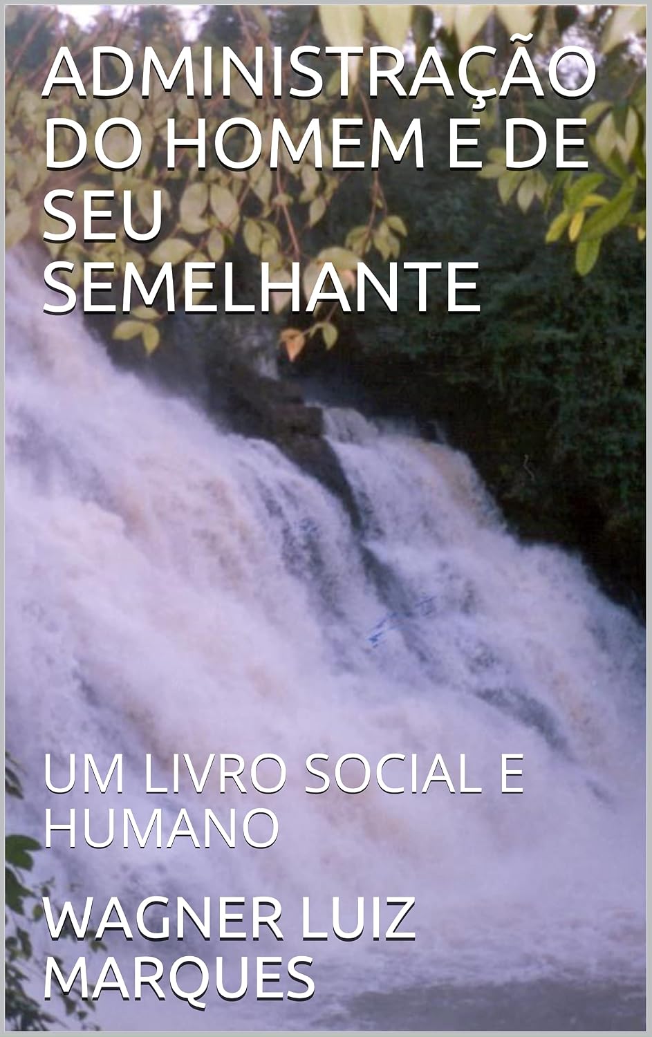 ADMINISTRAÇÃO DO HOMEM E DE SEU SEMELHANTE: UM LIVRO SOCIAL E HUMANO baixar o livro de graça
