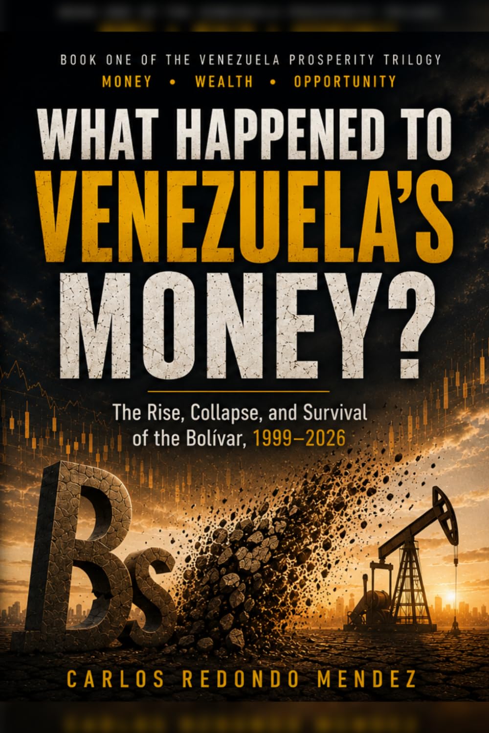 What Happened to Venezuela's Money?: The Rise, Collapse, and Survival of the Bolívar, 1999-2026 baixar livro de graça