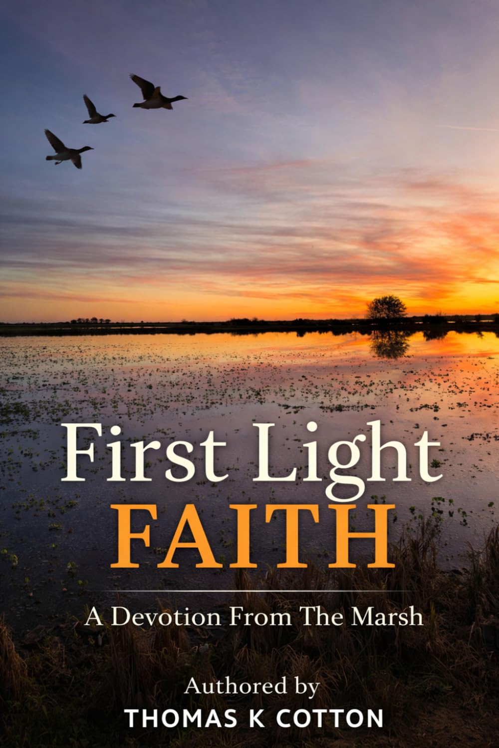 First Light Faith: A Devotion From The Marsh baixar livro de graça