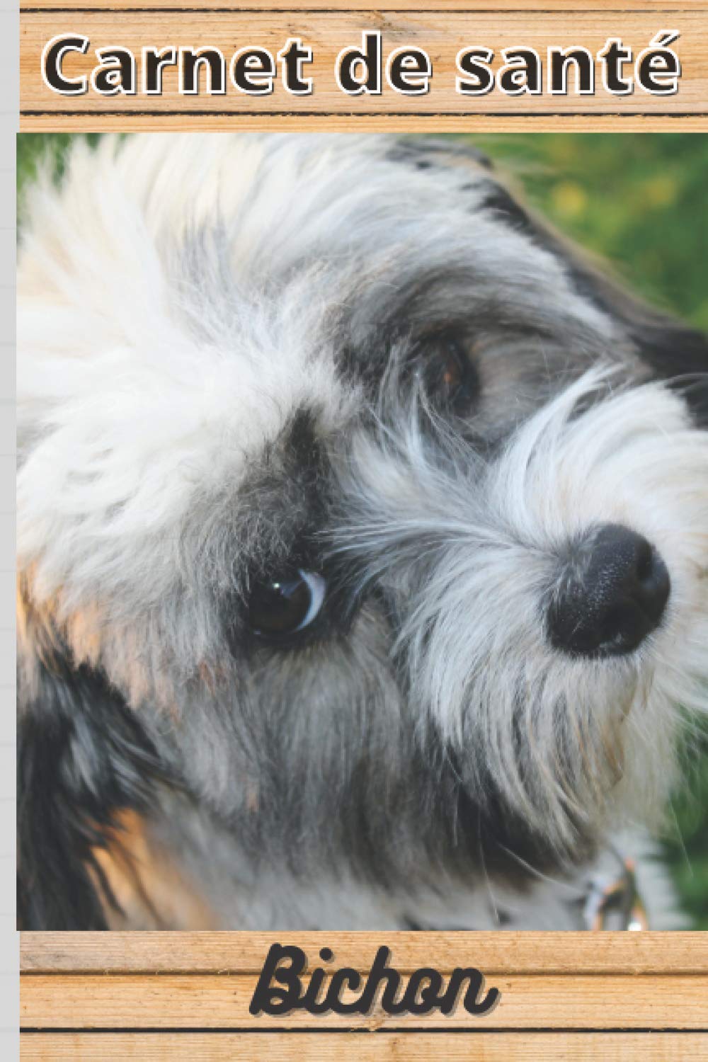 capítulo por capítulo baixar CARNET DE SANTE BICHON: Mon cahier de suivi santé chien Bichon à remplir ou compléter | Mon carnet santé chien | cadeau idéal pour suivre la santé de... cm sur 22,86 cm 101 pages (French Edition)