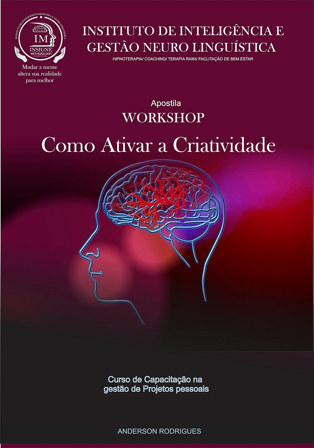 Como ativar a Criatividade: Apostila de Worshop baixar livro de graça