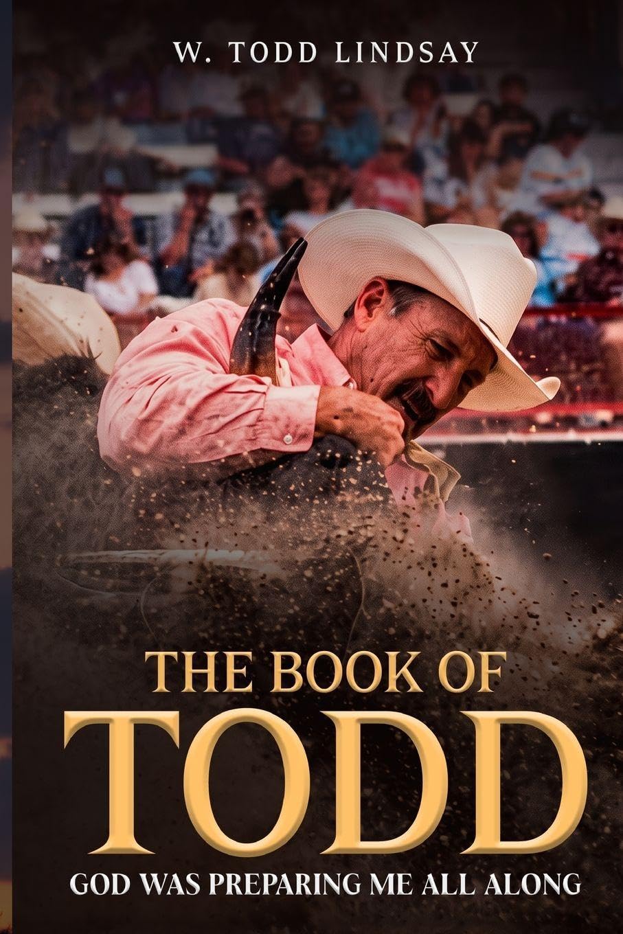 capítulo por capítulo baixar The Book of Todd: God Was Preparing Me All Along
