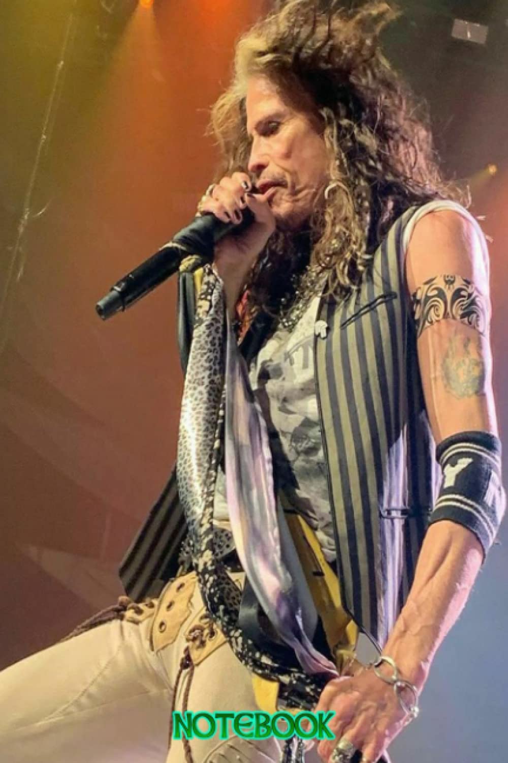 ler totalmente Notebook: Steven Tyler Notebook for Writing, Thankgiving Notebook Diary, Perfect Present for Fans #568