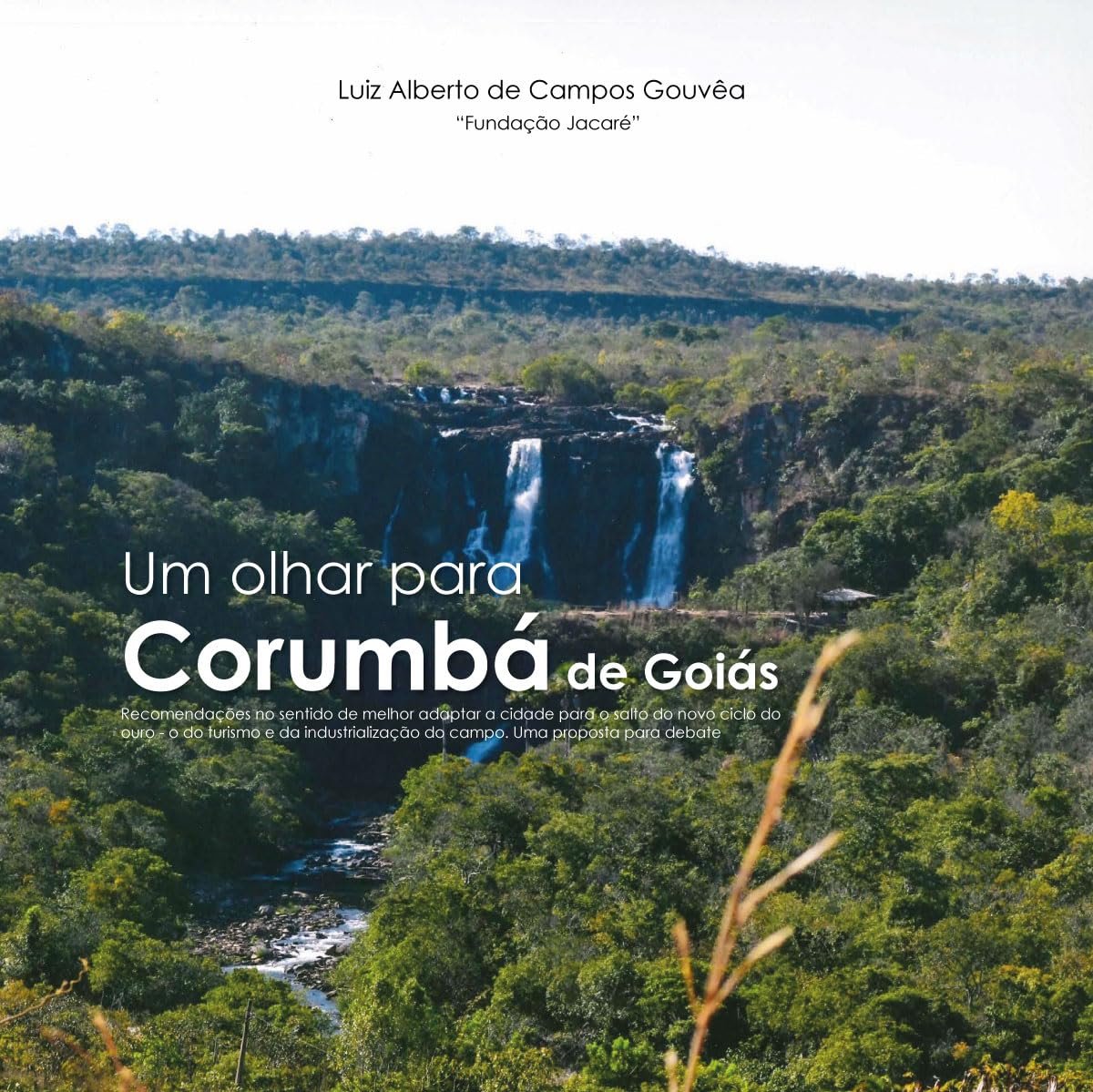 capítulo por capítulo baixar Um olhar para Corumbá de Goiás: recomendações no sentido de melhor adaptar a cidade para o salto do novo ciclo do ouro - o do turismo e da industrialização do campo. Uma proposta para debate.