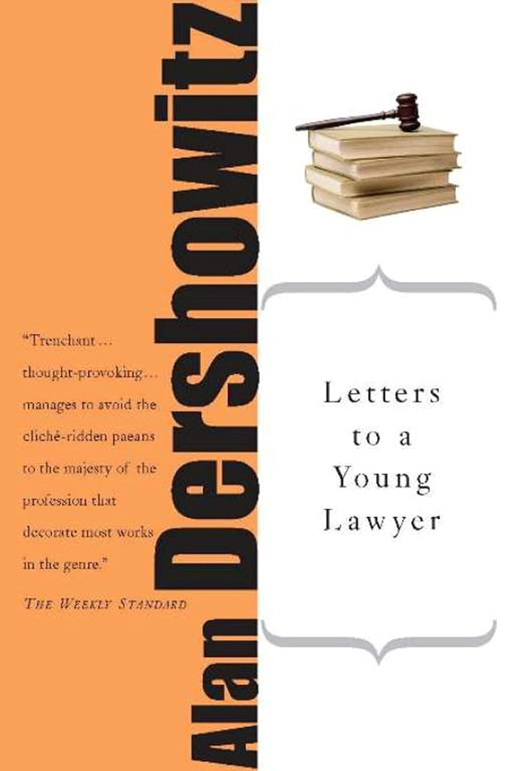 Letters to a Young Lawyer (Letters to a Young...) (English Edition) baixar o livro de graça