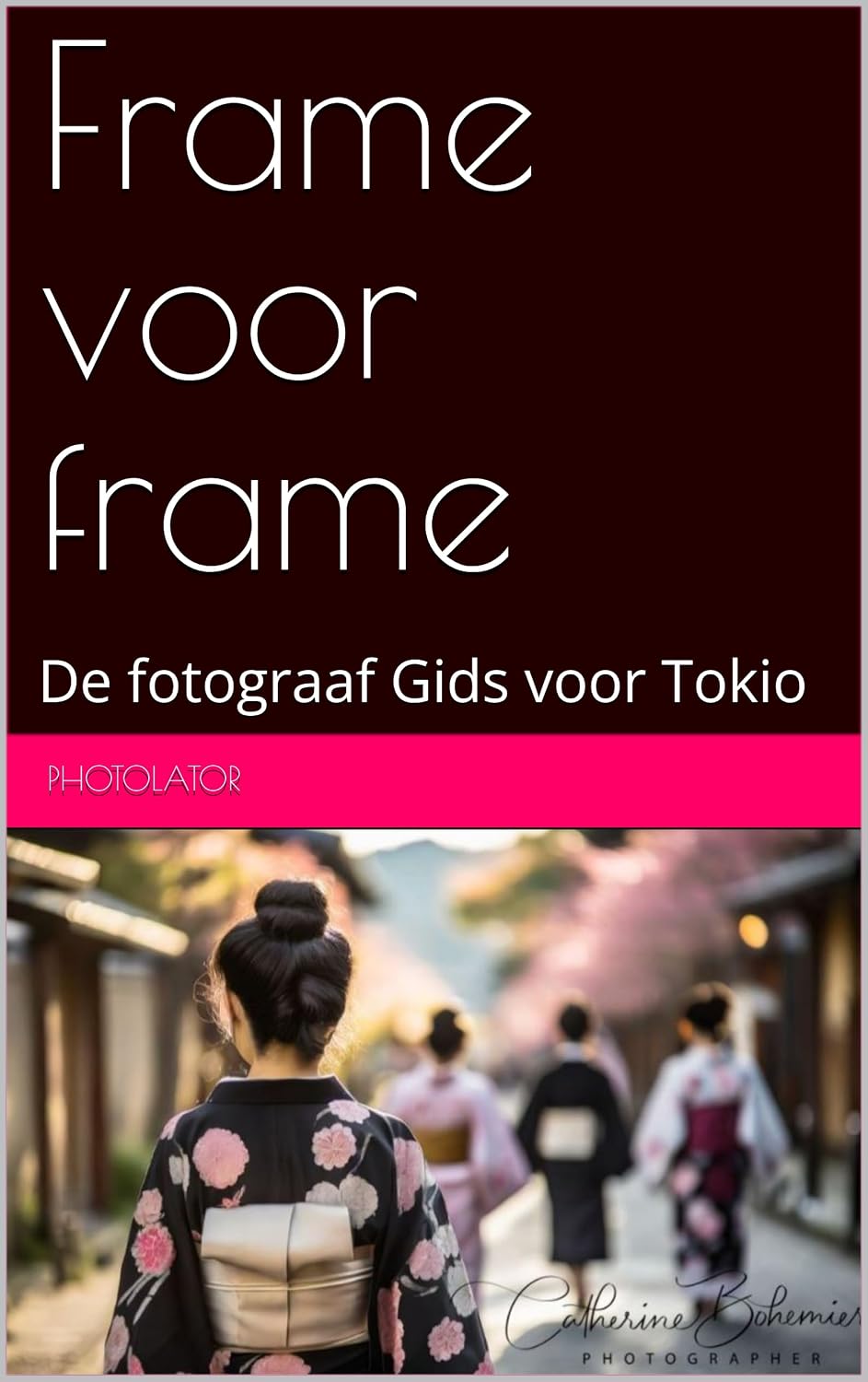 ler totalmente Frame voor frame: De fotograaf Gids voor Tokio (Dutch Edition)