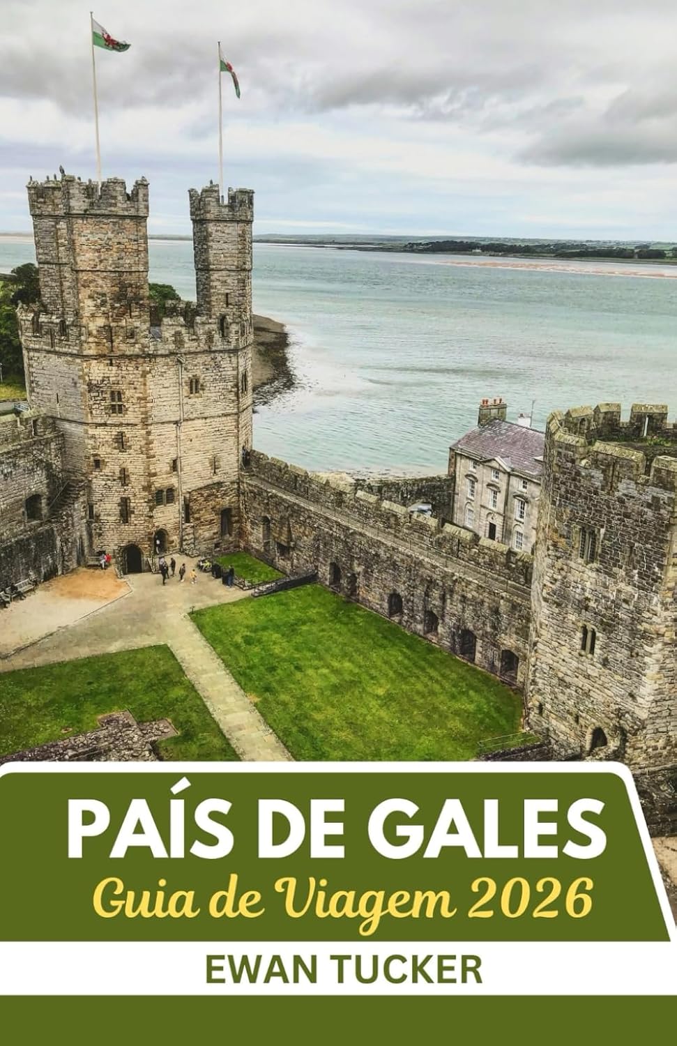 Guia de viagem do País de Gales 2026: Onde as lendas respiram e as paisagens cantam baixar livro de graça