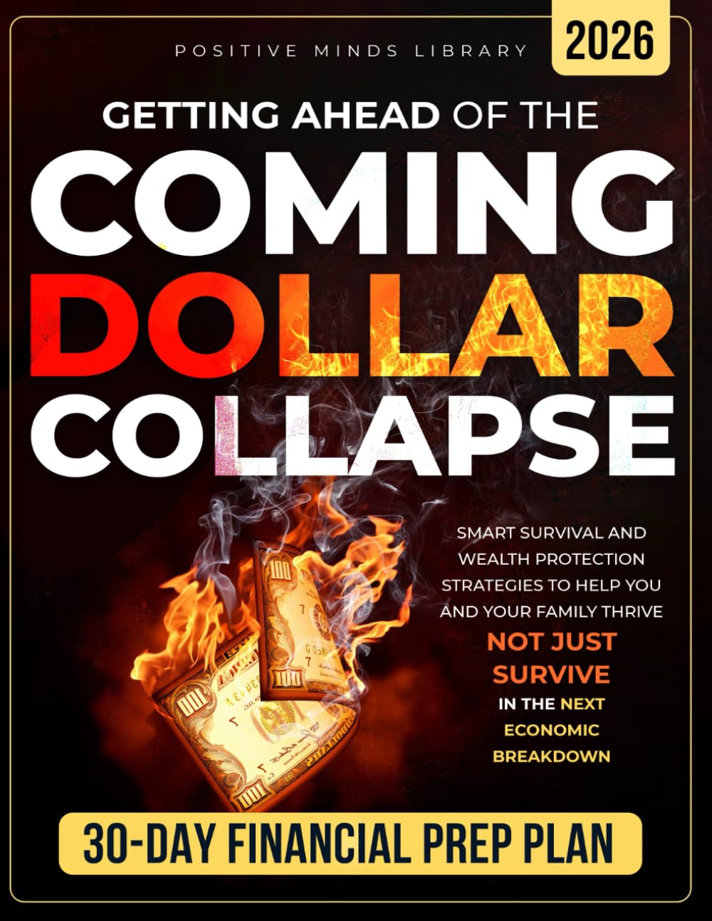 Getting Ahead of The Coming Dollar Collapse: Smart Survival and Wealth Protection Strategies to Help You and Your Family Thrive — Not Just Survive — in the Next Economic Breakdown baixar livro de graça