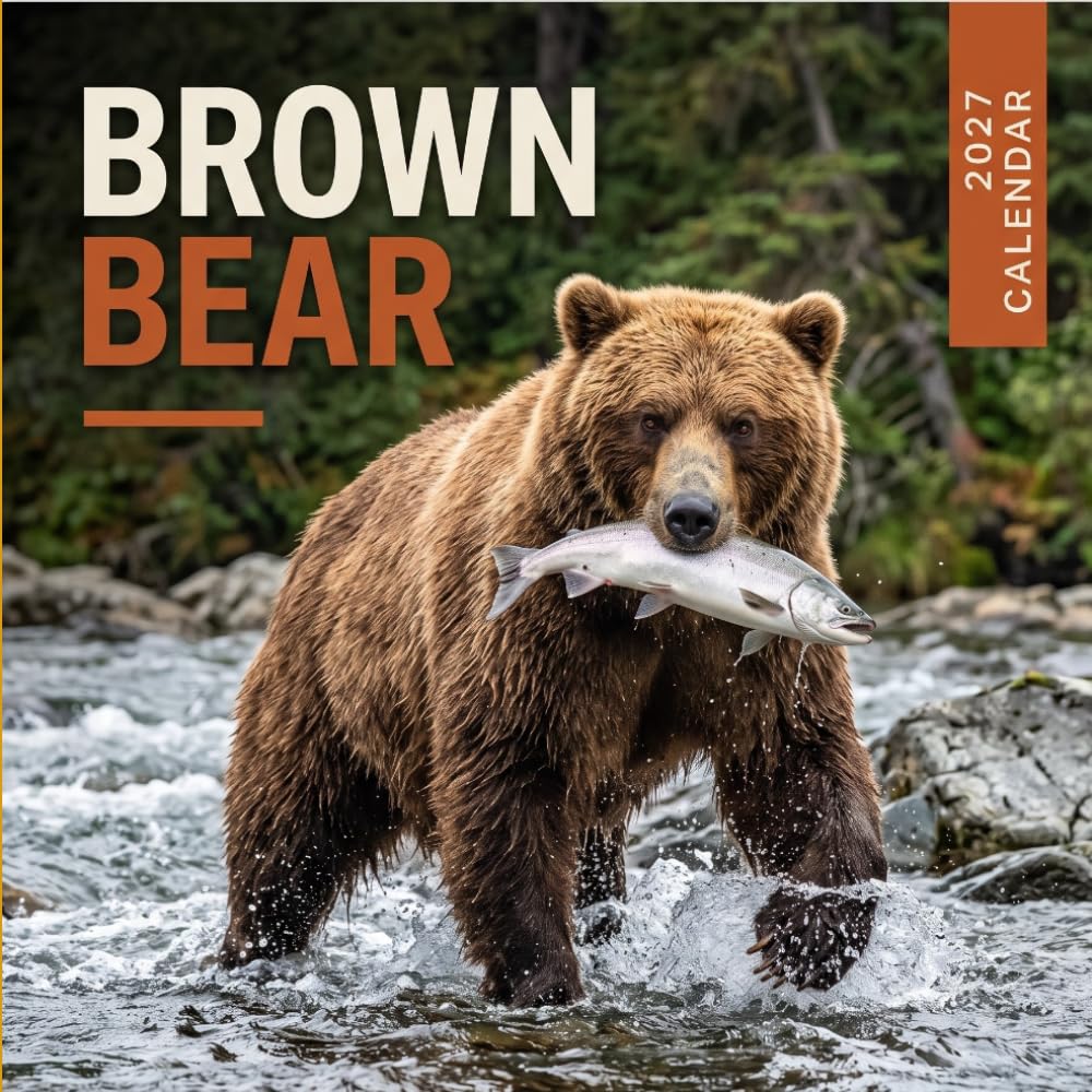 Brown Bear Calendar 2027