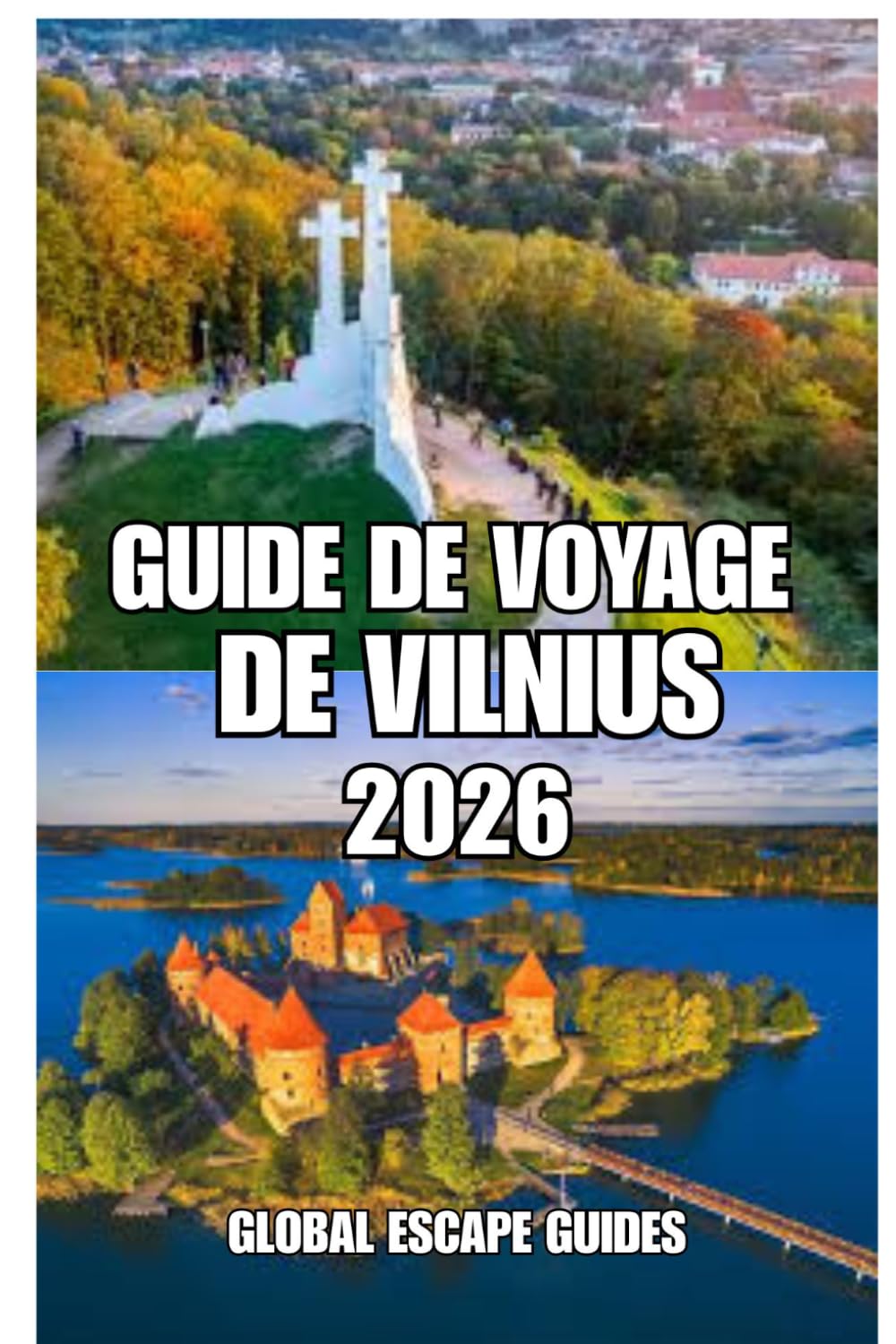 GUIDE DE VOYAGE DE VILNIUS: Guide de voyage de Vilnius 2026: Un guide pratique, culturel et pour un voyage au rythme lent dans la capitale historique de la Lituanie (French Edition) baixar o livro de graça