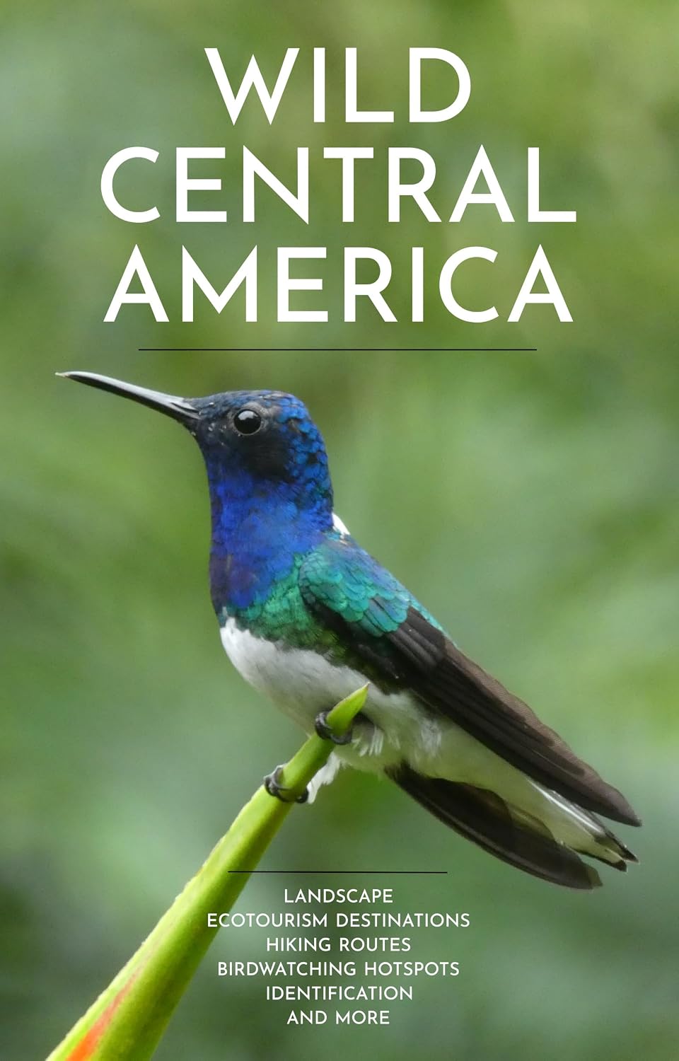 capítulo por capítulo baixar Wild Central America: Landscape, Ecotourism Destinations, Hiking Routes, Birdwatching Hotspots, Identification and more (Ecotourism Guides) (English Edition)
