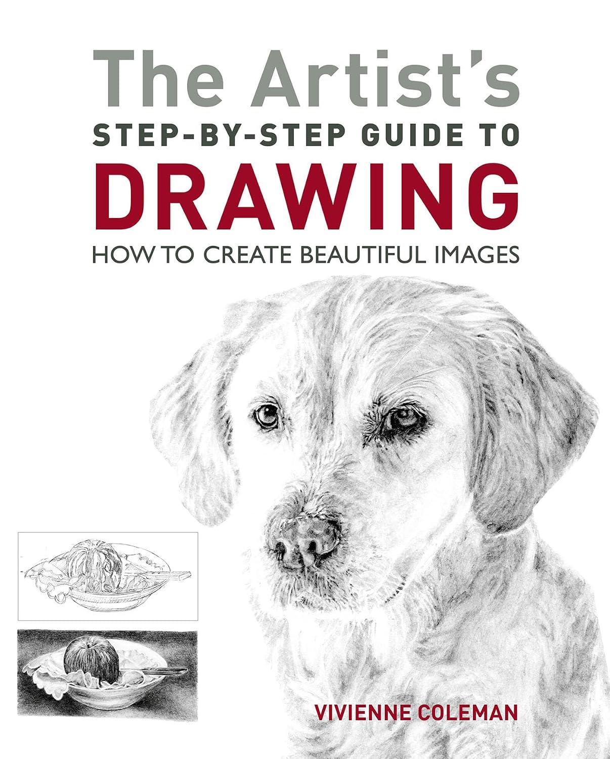 ler totalmente The Artist's Step-by-Step Guide to Drawing: How to Create Beautiful Images (English Edition)