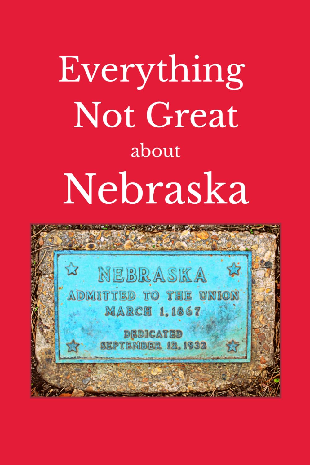 Everything Not Great About Nebraska baixar o livro de graça