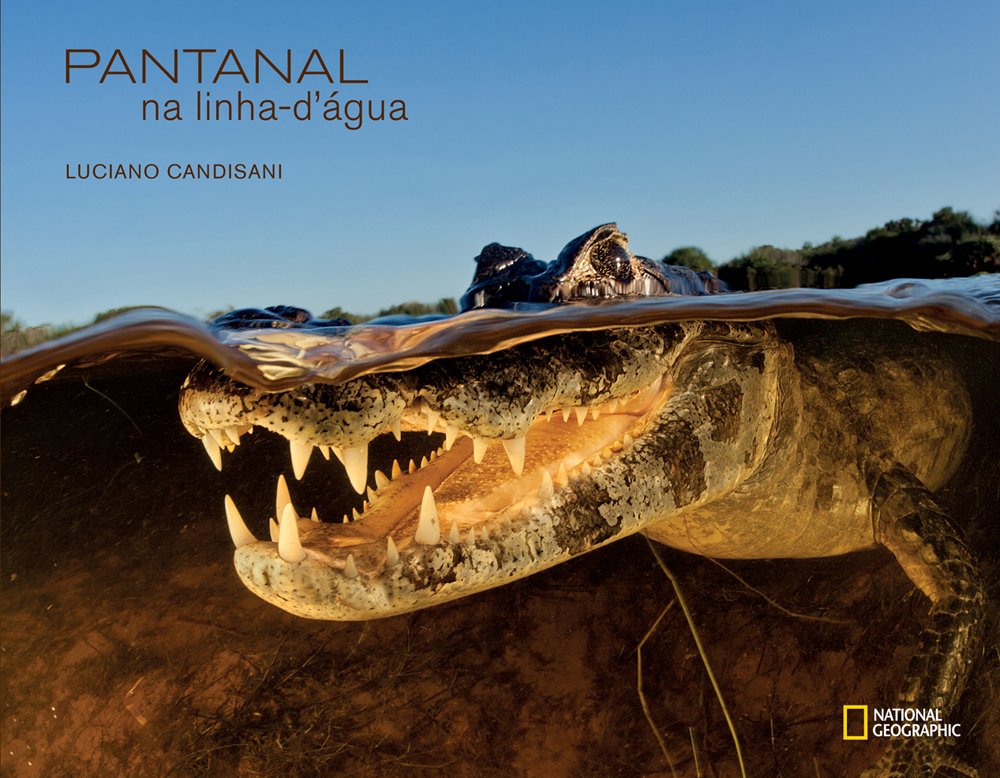 Pantanal na Linha-D'Água baixar o livro de graça
