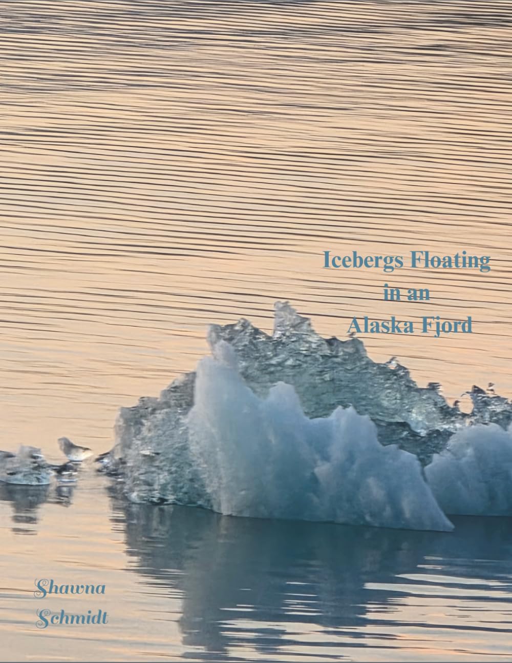 ler totalmente Icebergs Floating in an Alaska Fjord: Coffee Table Book