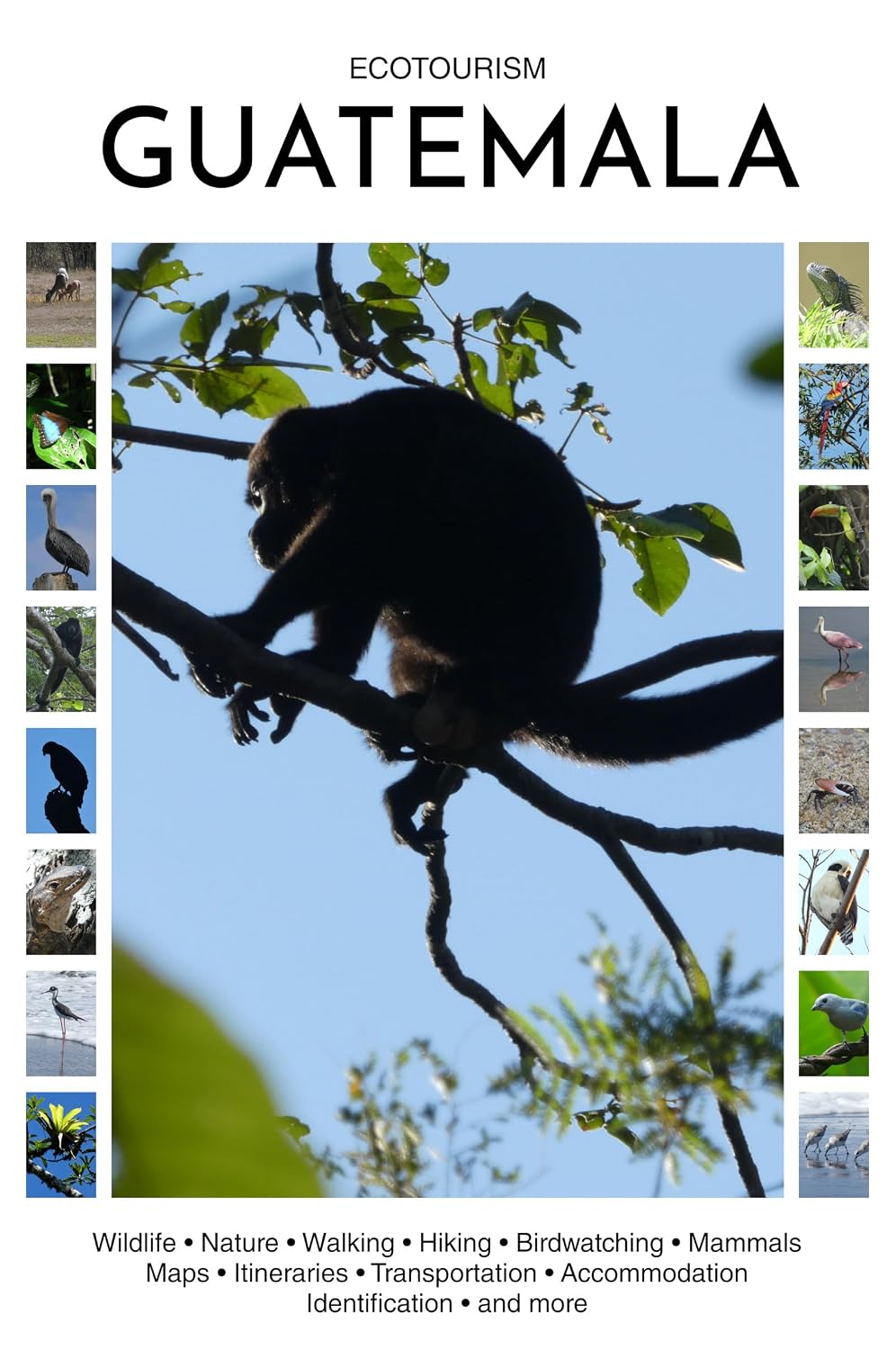 ler totalmente Ecotourism Guatemala: Wildlife, Nature, Walking, Hiking, Birdwatching, Mammals, Maps, Itineraries, Transportation, Accommodation, Identification and more (Ecotourism Guides) (English Edition)