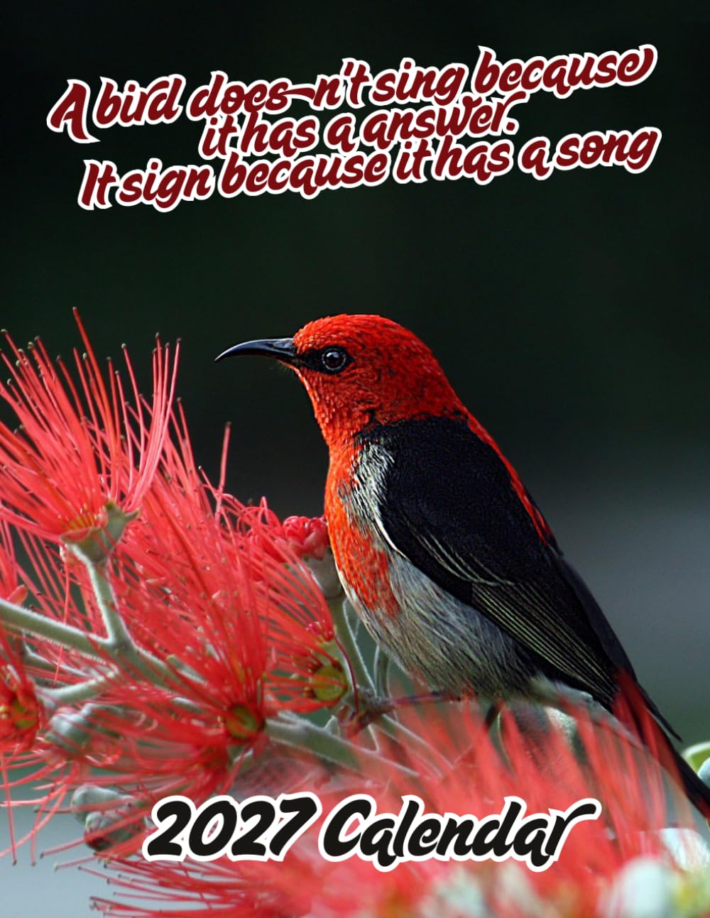 A bird doesn't sing because it has a answer. It sign because it has a song: A Year of Amazing Bird Photography Beautiful Birds 2027 Calenda r baixar livro de graça