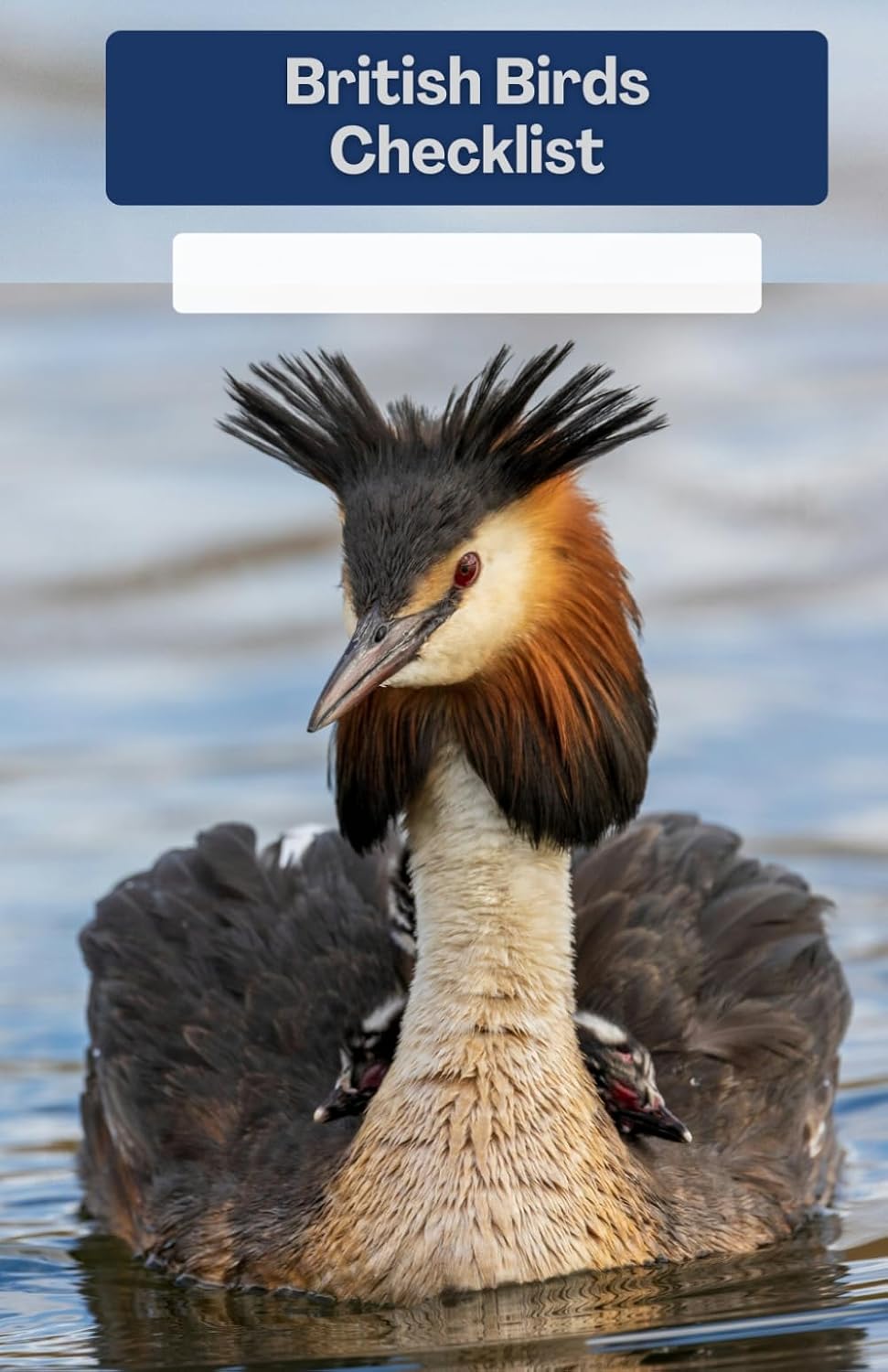 ler totalmente British Birds Checklist: Complete checklist of all British Birds. Bird watching and spotting record for twitchers and naturalists. Current IOC list. Life List. Year List.