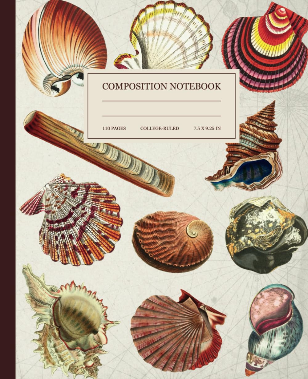 ler totalmente Composition Notebook: College Ruled. Vintage Seashells Illustration. Blank Lined Journal for School, Office, and Work