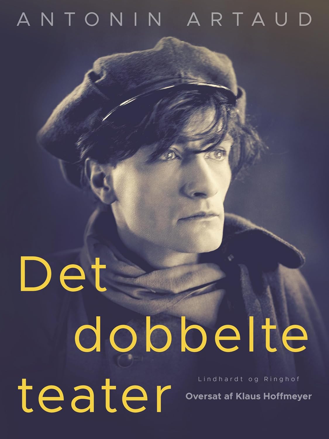 Det dobbelte teater (Danish Edition) baixar o livro de graça