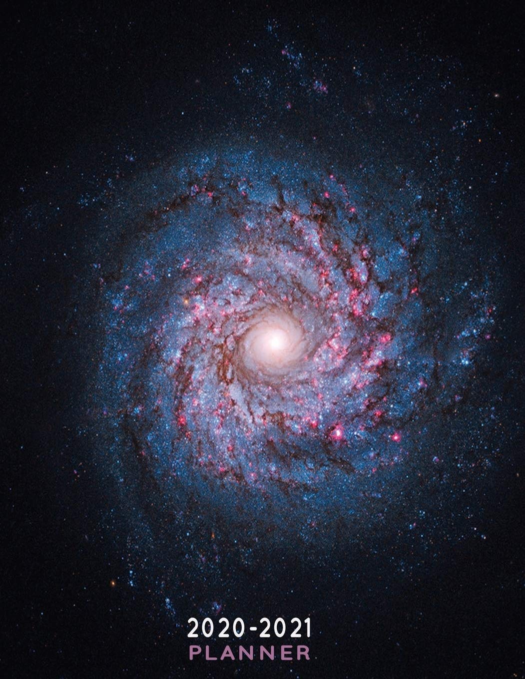 2020-2021 Planner: NGC 3982 Galaxy Weekly Planner - 24 Months Organizer Notebook Including To Do List baixar livro de graça