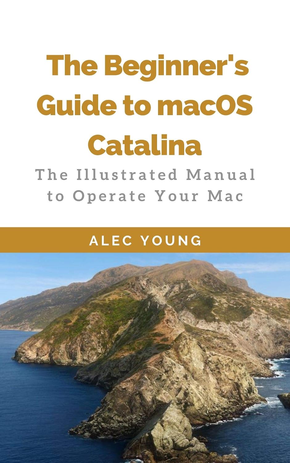ler totalmente The Beginner’s Guide to MacOS Catalina: The Illustrated Manual to Operate Your Mac (English Edition)