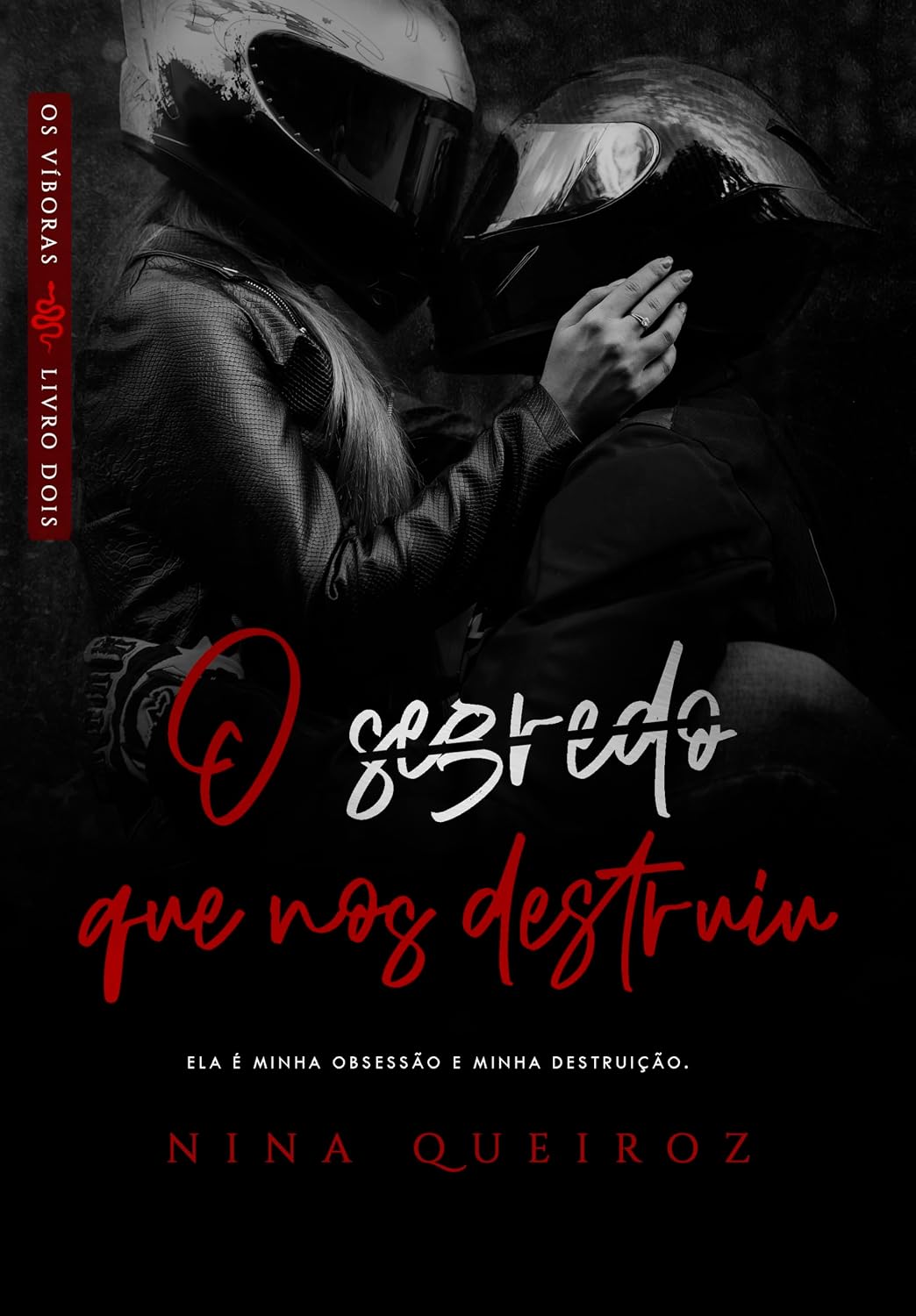 O Segredo Que Nos Destruiu ( Os Víboras Livro 02) baixar o livro de graça