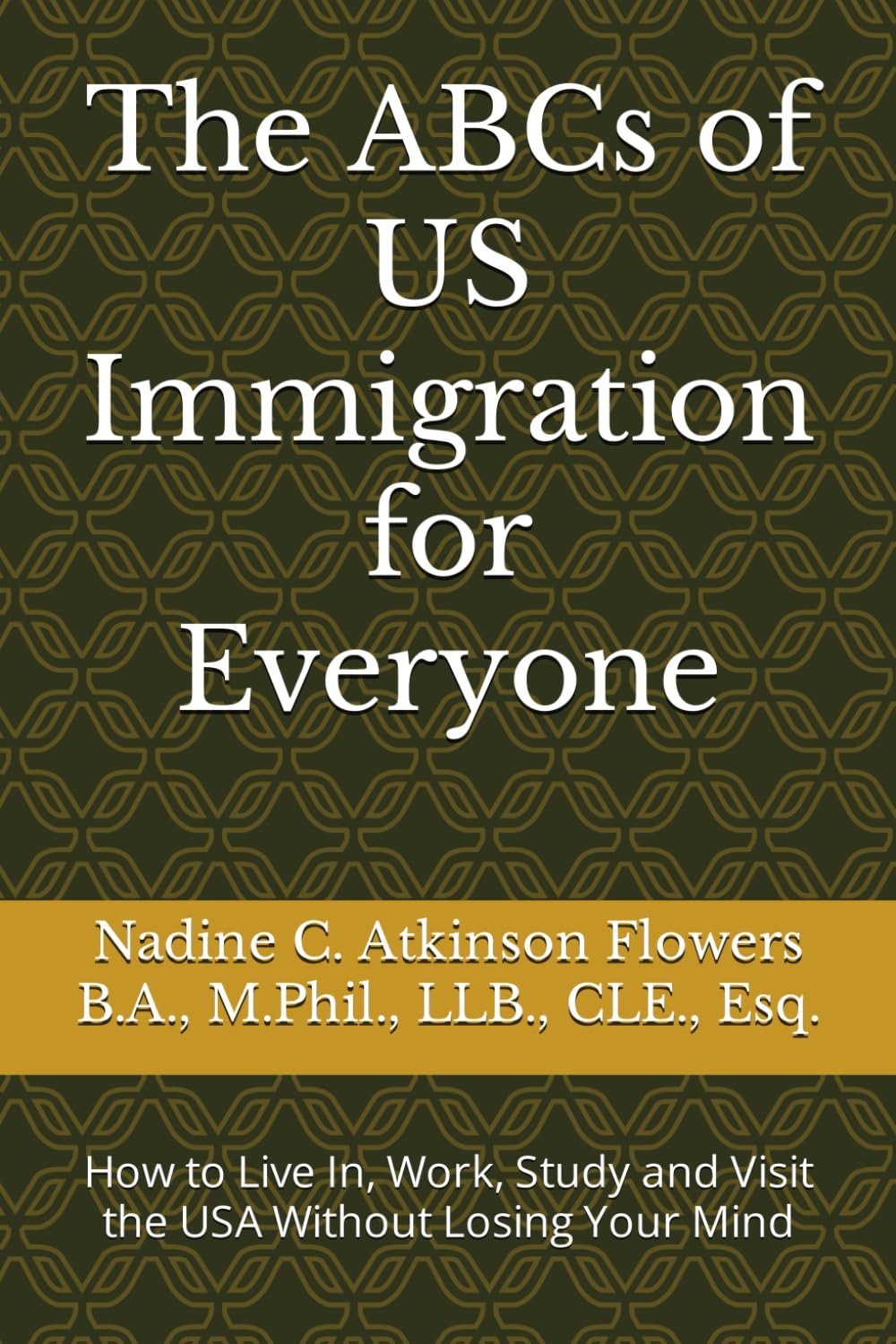 ler totalmente The ABCs of US Immigration for Everyone: How to Live In, Work, Study and Visit the USA Without Losing Your Mind