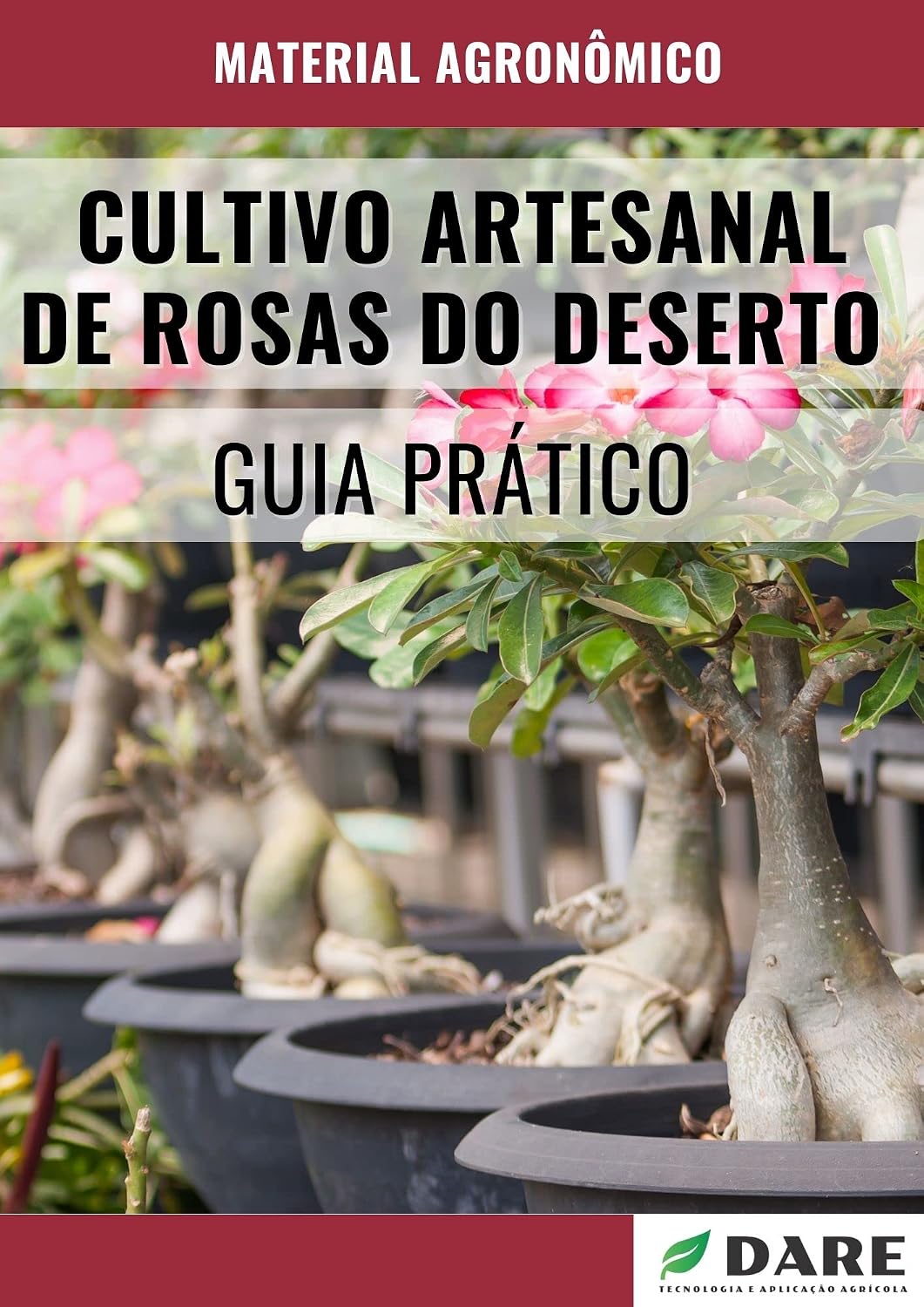 CULTIVO ARTESANAL DE ROSAS DO DESERTO: Guia Prático baixar o livro de graça