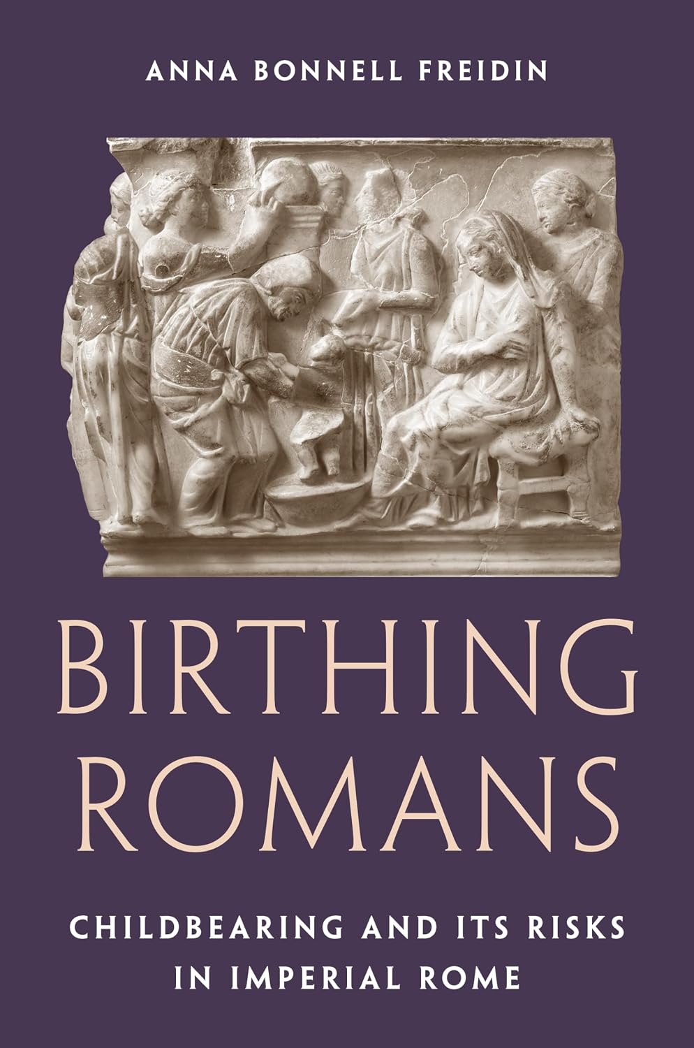 Birthing Romans: Childbearing and Its Risks in Imperial Rome baixar o livro de graça