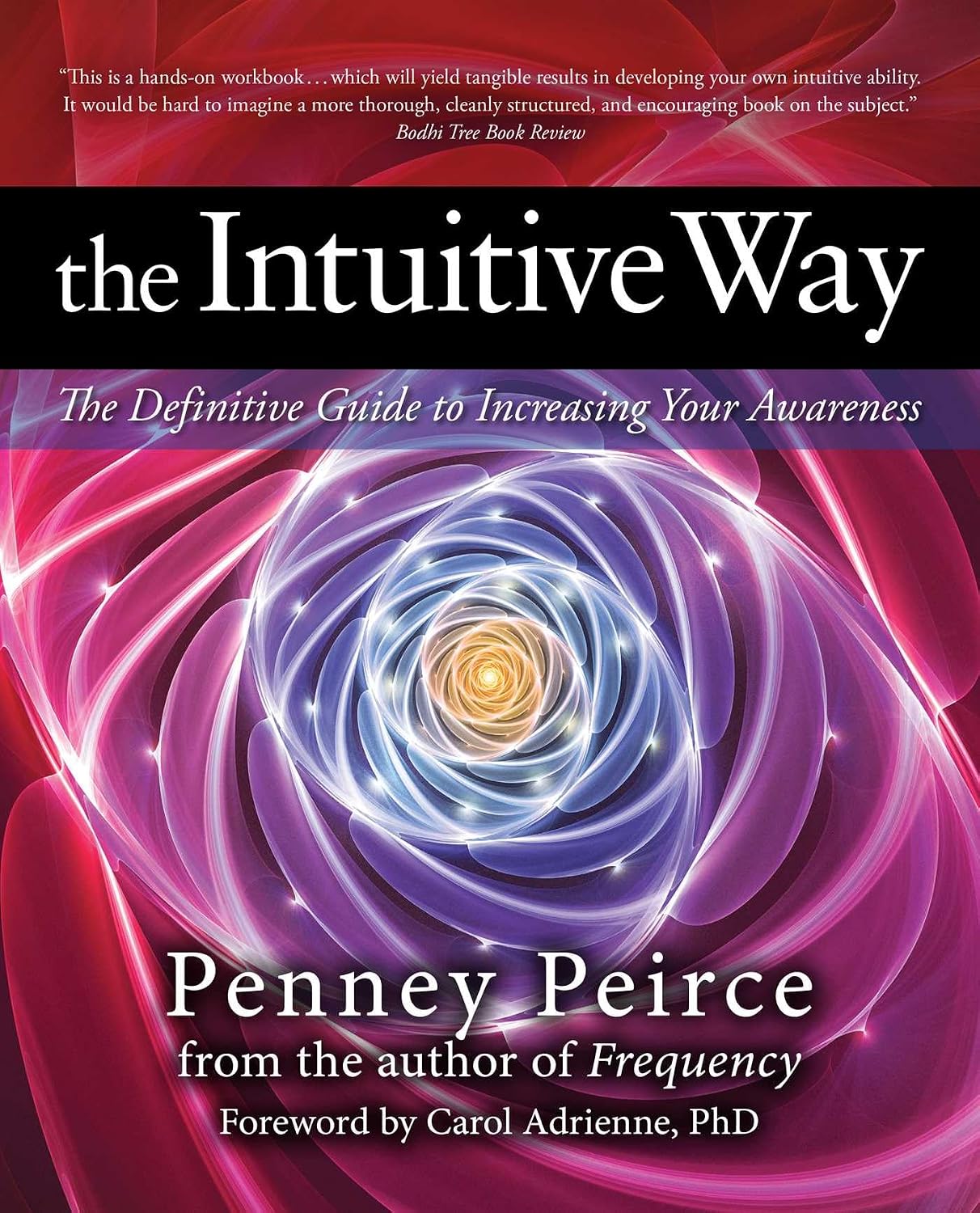 capítulo por capítulo baixar The Intuitive Way: The Definitive Guide to Increasing Your Awareness: 1