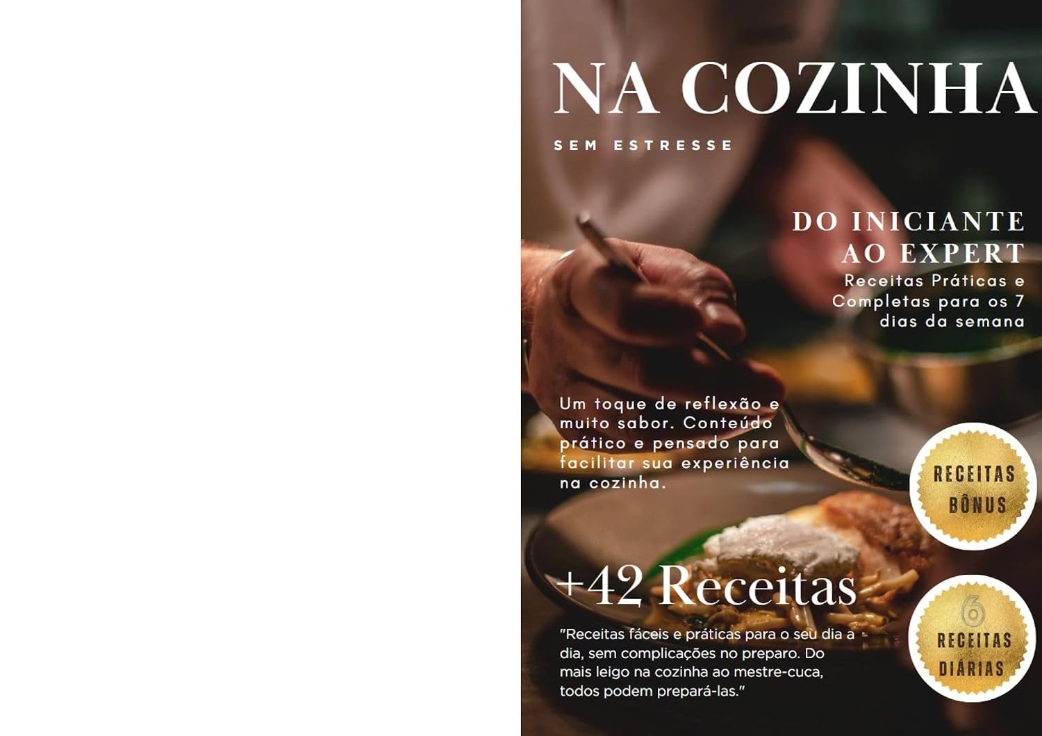 Na Cozinha sem Estresse: Do iniciante ao Expert - Receitas Práticas e Completas para os 7 dias da semana baixar livro de graça