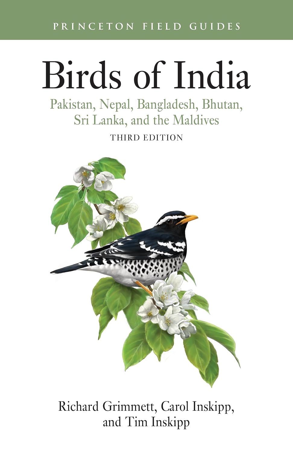 capítulo por capítulo baixar Birds of India: Pakistan, Nepal, Bangladesh, Bhutan, Sri Lanka, and the Maldives - Third Edition (Princeton Field Guides) (English Edition)