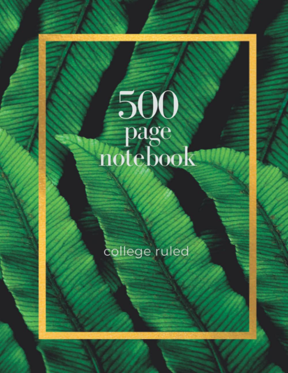 ler totalmente 500 Page Notebook: College Ruled Journal, Diary, or Composition Notebook