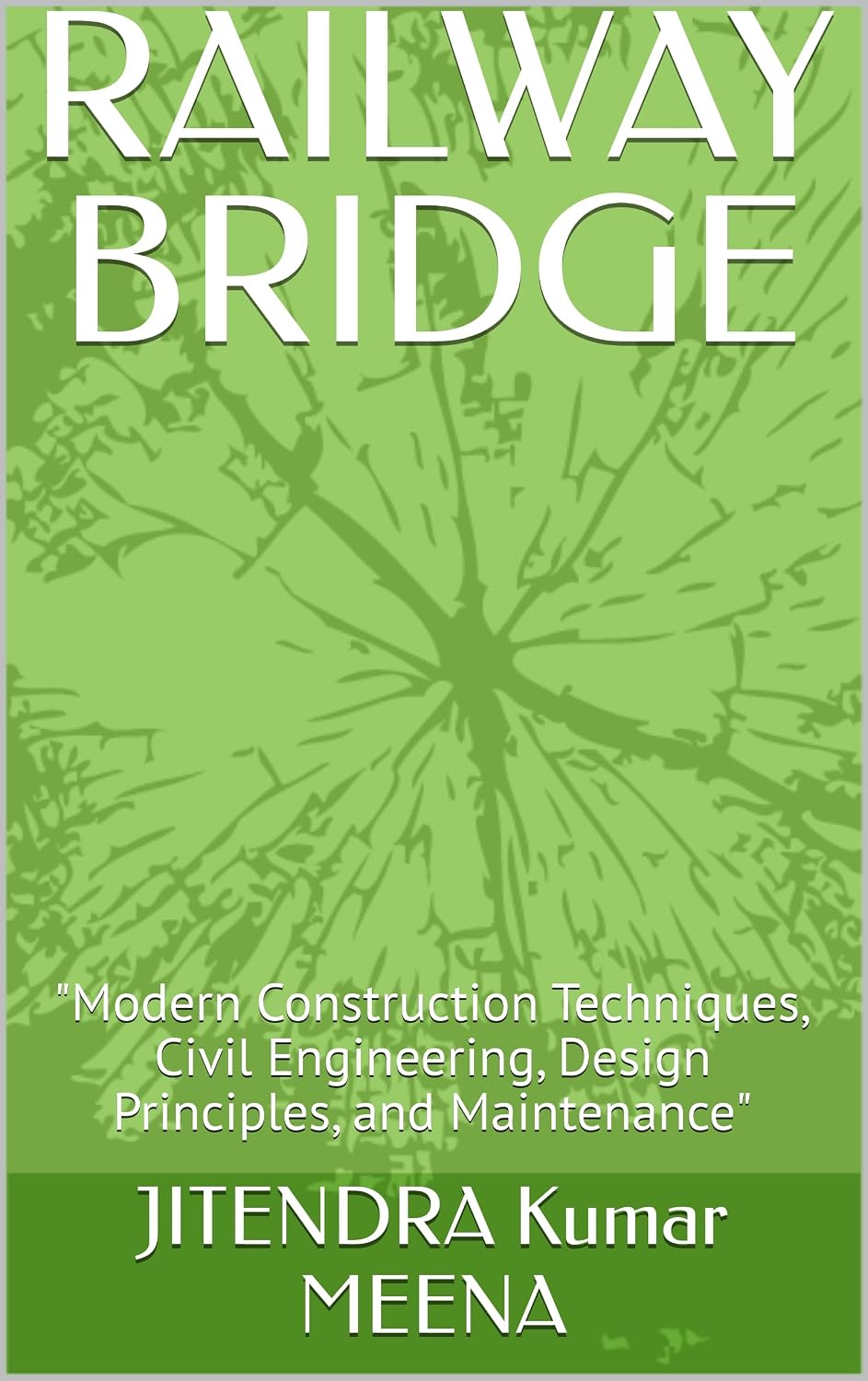 RAILWAY BRIDGE: "Modern Construction Techniques, Civil Engineering, Design Principles, and Maintenance" (English Edition) baixar o livro de graça