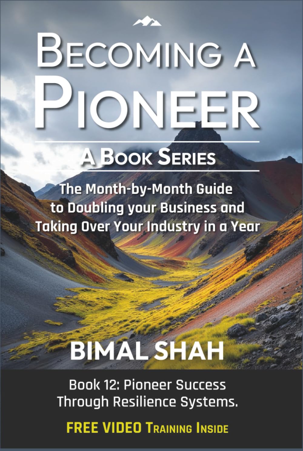 Becoming a Pioneer- A Book Series: The Month-by-Month Guide to Doubling Your Business and Taking Over Your Industry In A Year-Book 12 baixar livro de graça