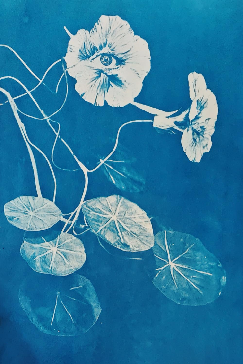 ler totalmente Cyanotype Notebook No. 01: Lines for Slow Writing · 115 Pages (Spanish Edition)