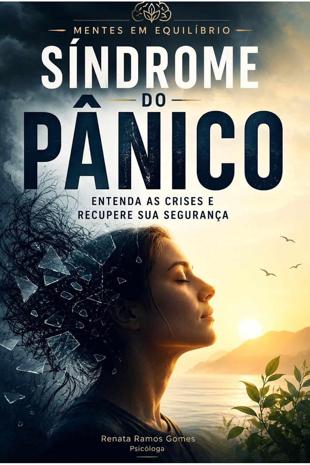 capítulo por capítulo baixar Sindrome do Pânico: entenda as crises e recupere sua segurança (Mente em equilibrio Livro 6)