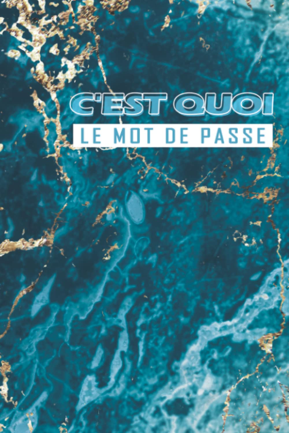C'est Quoi le Mot de Passe: Carnet de Mots de Passe à Remplir | Répertoire Alphabétique pour ne plus Oublier les Codes d'accès de ses Sites Préférés |... Format Pratique | 110 Pages. (French Edition) baixar livro de graça