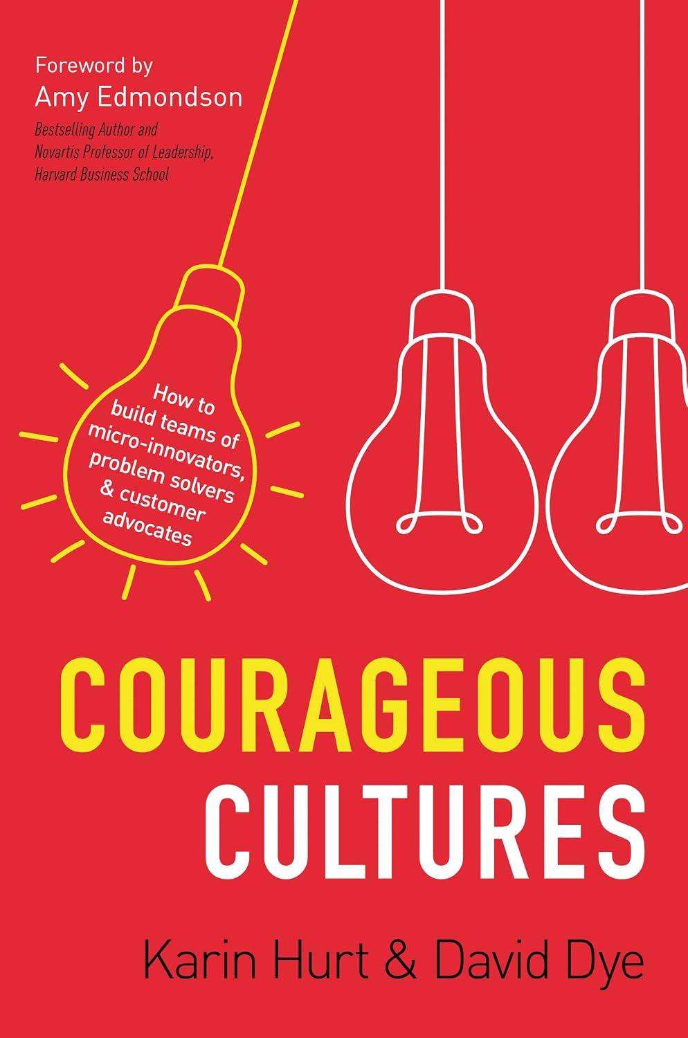 Courageous Cultures: How to Build Teams of Micro-Innovators, Problem Solvers, and Customer Advocates baixar o livro de graça