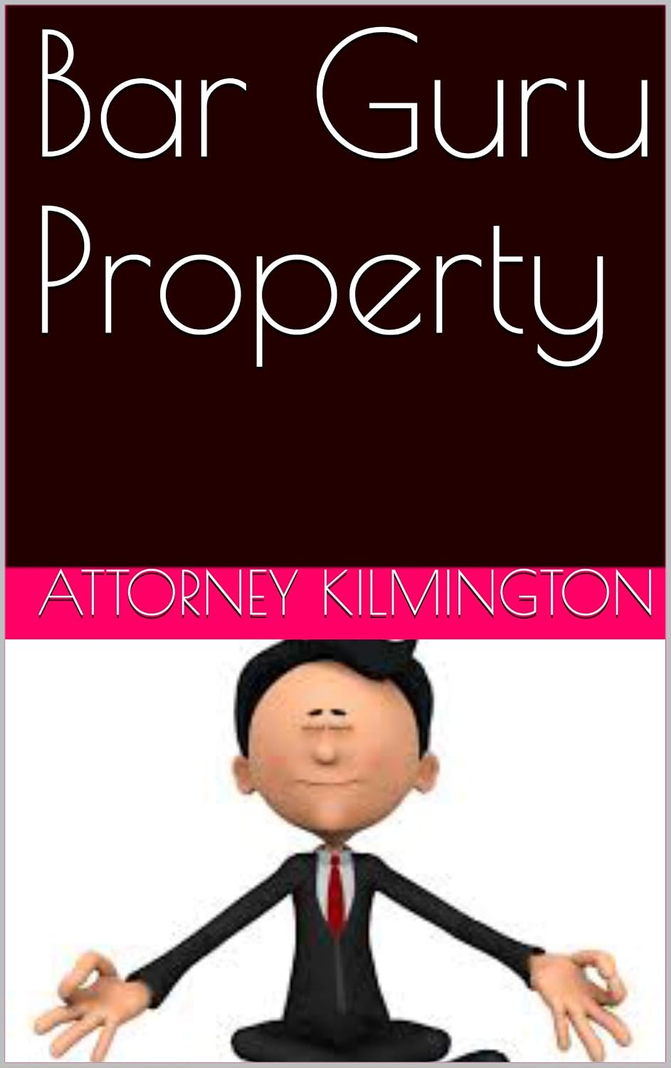 Bar Guru Property (English Edition) baixar livro de graça
