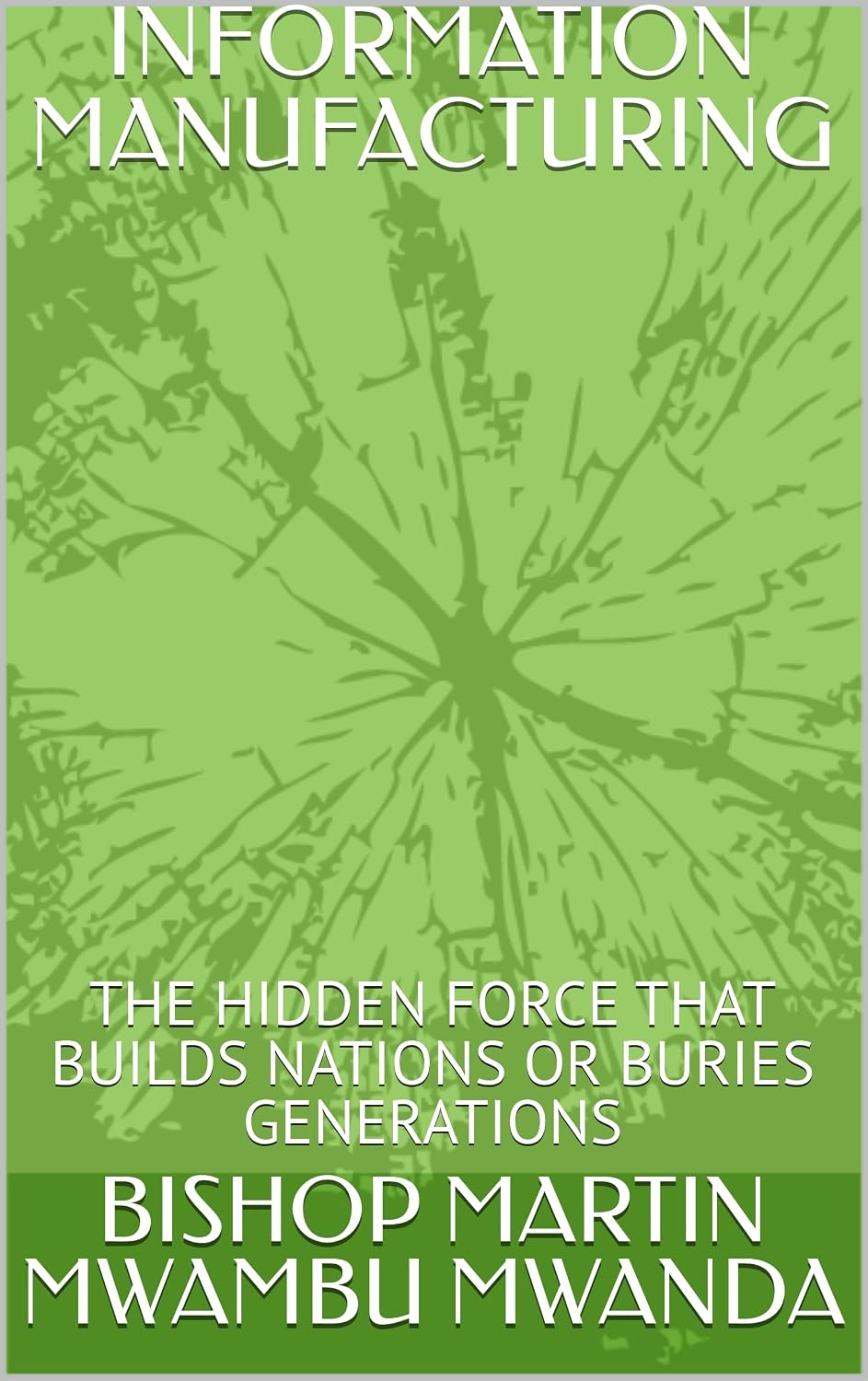 ler totalmente INFORMATION MANUFACTURING: THE HIDDEN FORCE THAT BUILDS NATIONS OR BURIES GENERATIONS (English Edition)