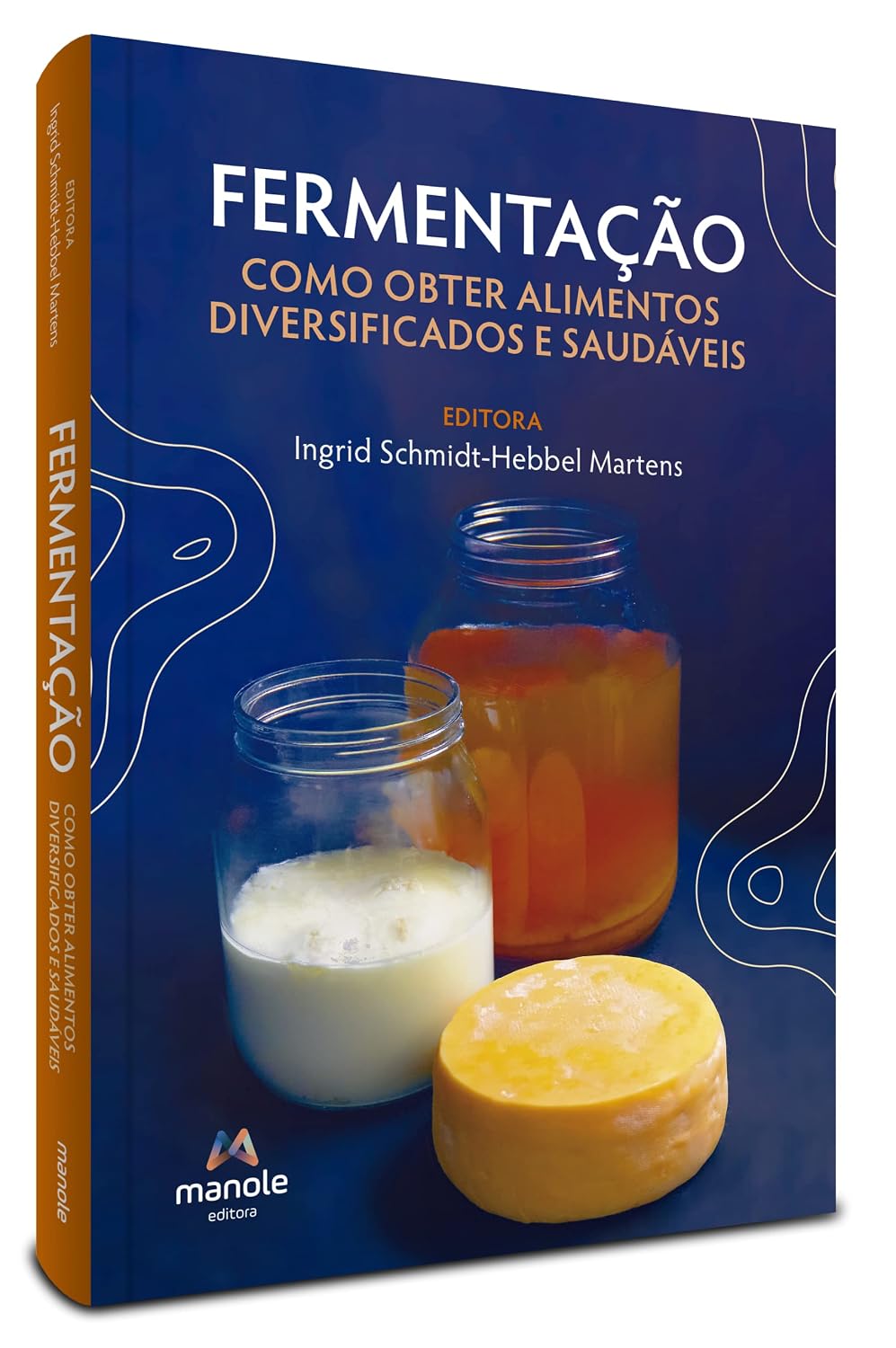 Fermentação: Como obter alimentos diversificados e saudáveis baixar o livro de graça