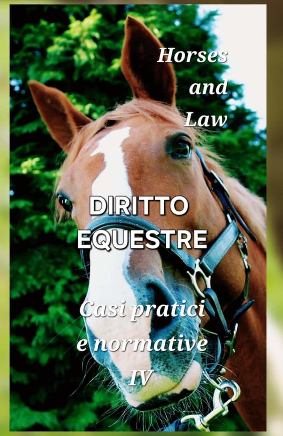 DIRITTO EQUESTRE - Casi pratici e normative IV: Horses and Law (Equine Law) (Italian Edition) baixar livro de graça