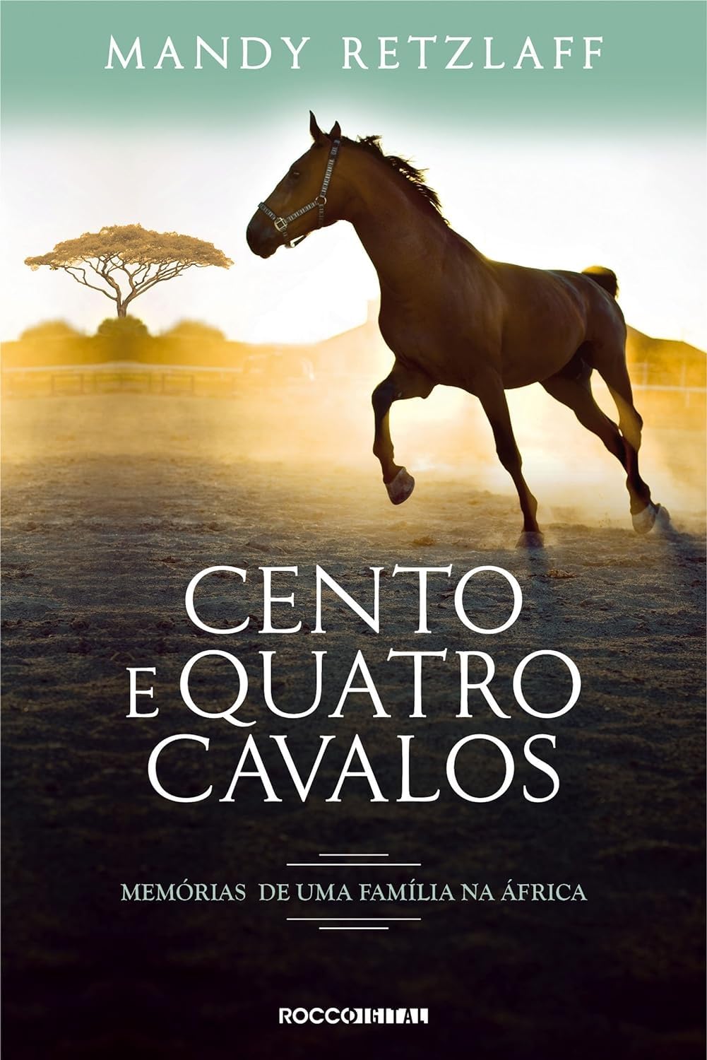 Cento e quatro cavalos