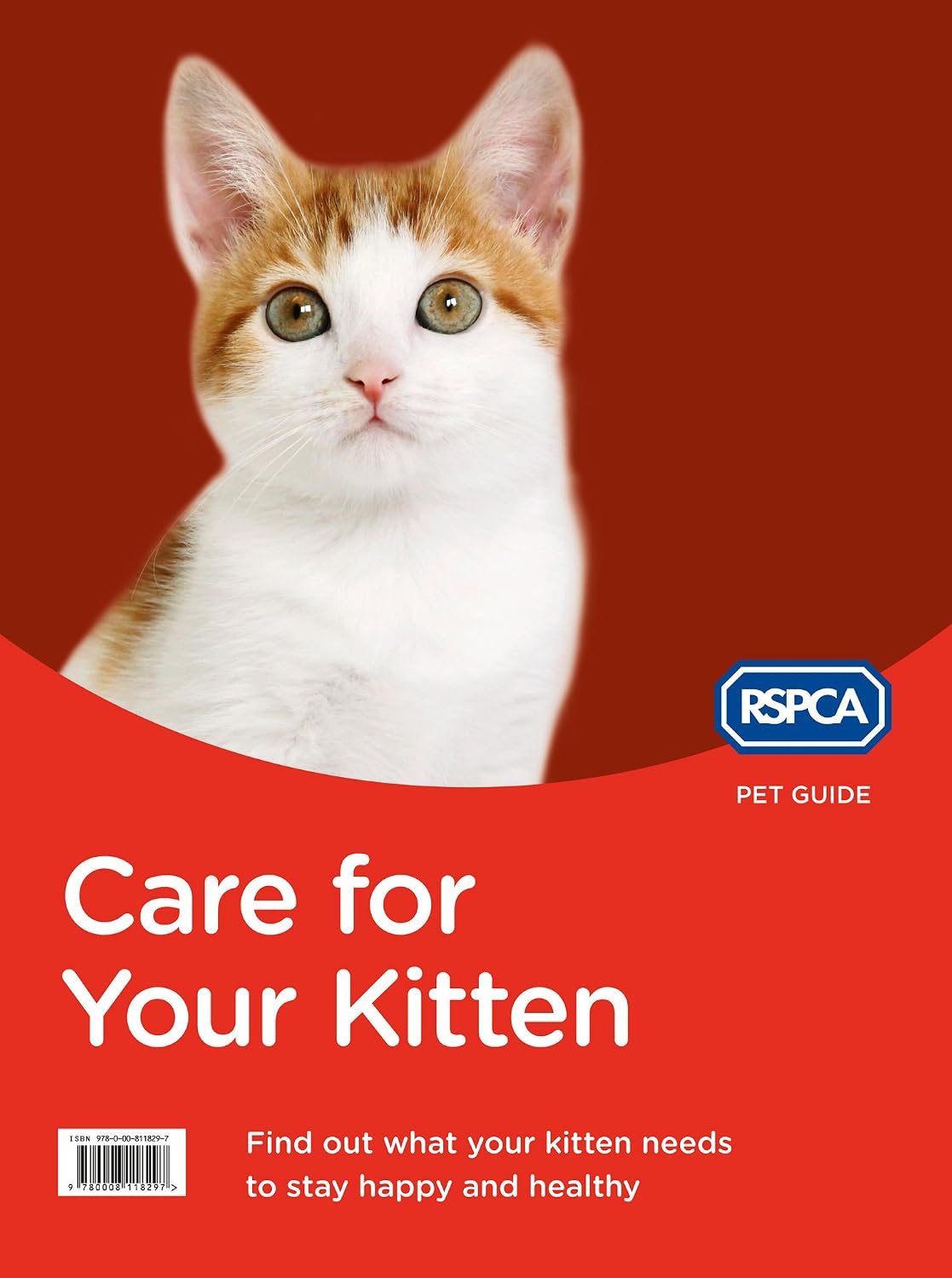 capítulo por capítulo baixar Care for Your Kitten: The Official RSPCA Guide to Raising a Healthy and Happy Pet (RSPCA Pet Guide) (English Edition)