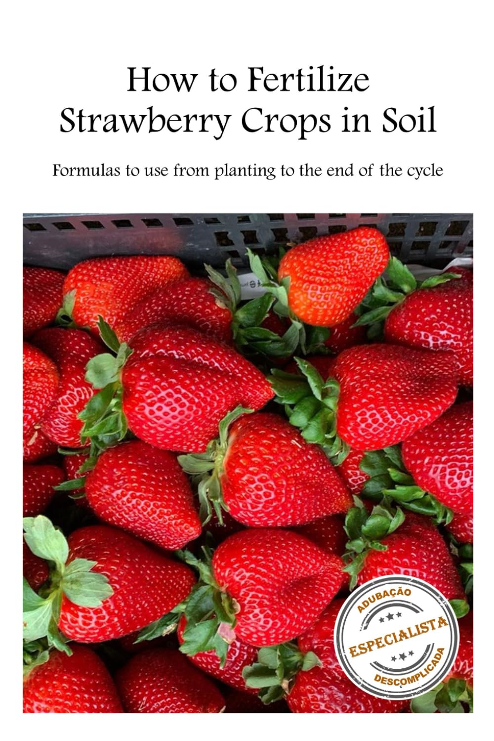 ler totalmente How to Fertilize Strawberries Crops in Soil: Formulas to use Recipes for the Entire Growing Cycle