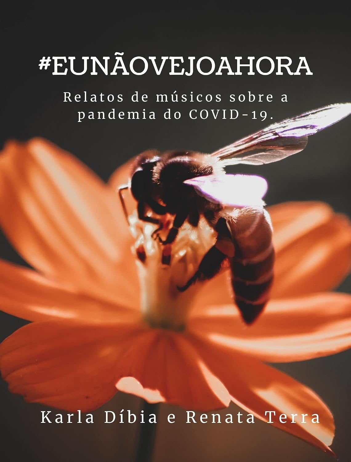 #EUNÃOVEJOAHORA: Relatos de músicos sobre a pandemia do COVID-19. baixar o livro de graça