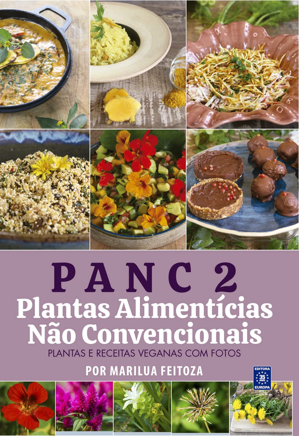 PANC 2 - Plantas Alimentícias Não Convencionais baixar o livro de graça