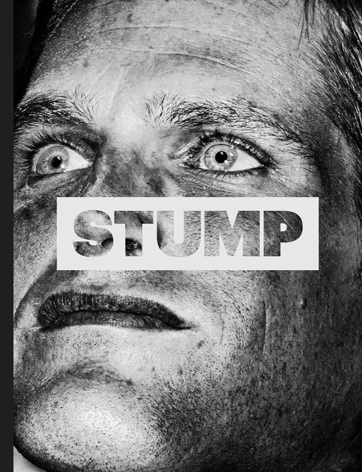 Christopher Anderson: Stump baixar o livro de graça